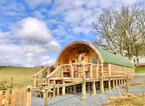 Glamping pod summer house - glamping,